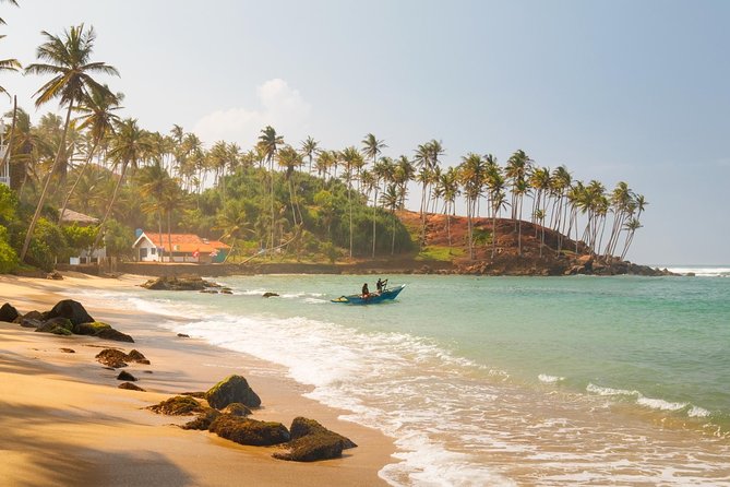 Galle Day Tour from Colombo/Negombo by Private Car or Van - Madu River Safari by Buddhi: Mangrove Tunnels in a Protected Wetland