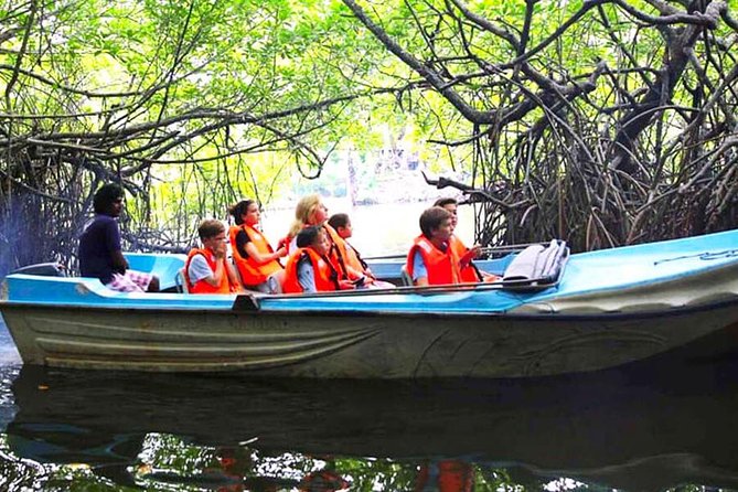 Galle Day Tour from Colombo or Negombo by Private Car , Van with Driver - Why This Private Car Tour Makes Galle Feel Manageable