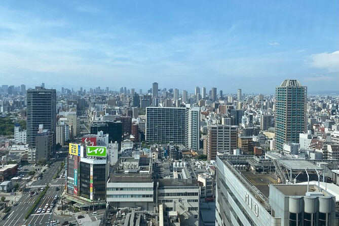 Guided Tour of Some Attractions in Osaka by Private Car - Why a private car Osaka highlights day feels like a cheat code