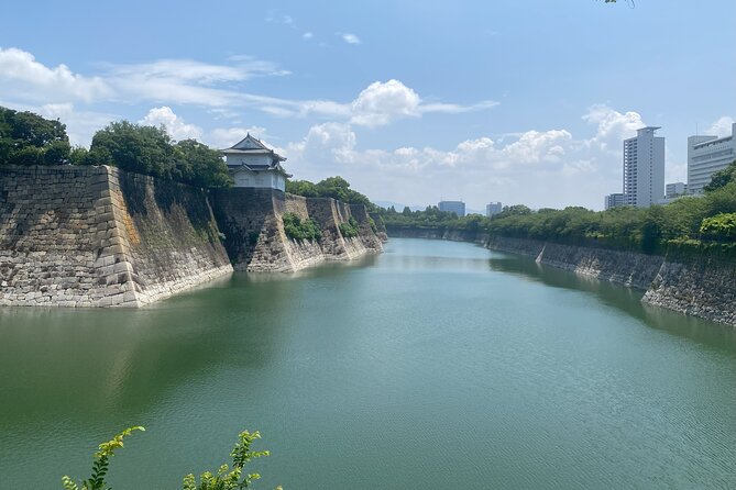 Guided Tour of Some Attractions in Osaka by Private Car - How flexibility with a guide changes the day (Tomaki and attentive care)