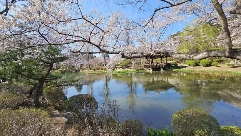 Gyeongju: Private Car Charter Taxi Tour - The 6- and 8-hour routes: Yangdong, bridges, tomb areas, and museums