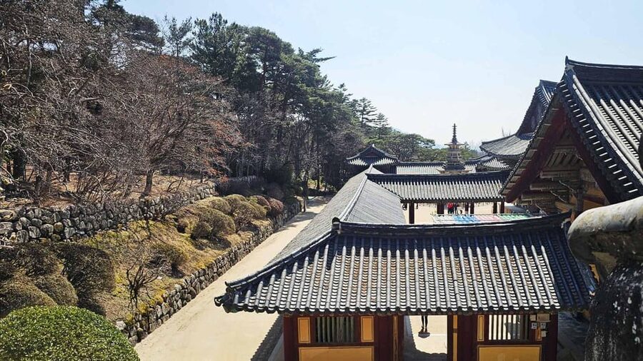Gyeongju: Private Car Charter Taxi Tour - Price and logistics: what $124 buys, and what you still need to pay