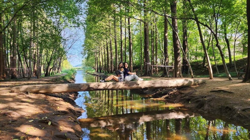 Gyeongju: Private Car Tour with a Licensed Tour Guide - Price and value: is $399 per group worth it?