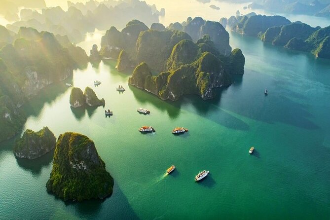 Halong Bay Day Trip 6hour: Buffet Lunch,Limousine bus,small group - Tuan Chau Island lunch cruise: when the food turns the day easy