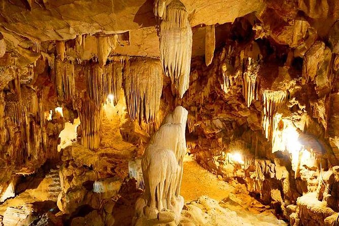 Hanoi - Hoa Lu - Tam Coc - Mua Cave - 1 Day / By Luxury Limousine & Small Group - Price and value: what $59 actually covers