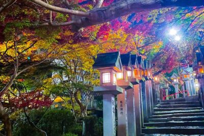 Hidden Gems of Osaka Kyoto Nara - Private Car Tour by Local Guide - Getting there in comfort: pickup, mobile ticket, and private group time