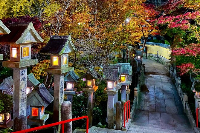 Hidden Gems of Osaka Kyoto Nara - Private Car Tour by Local Guide - Pacing, crowds, and what to bring for a smooth day