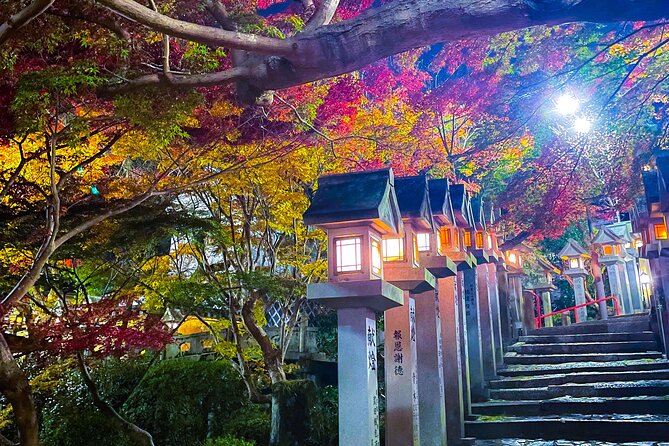 Hidden Gems of Osaka Kyoto Nara - Private Car Tour by Local Guide - Getting there in comfort: pickup, mobile ticket, and private group time