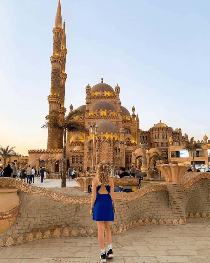 Hurghada: Day Tour To Cairo From Hurghada By Private Car - The Great Sphinx: 30 Minutes That Can Feel Short