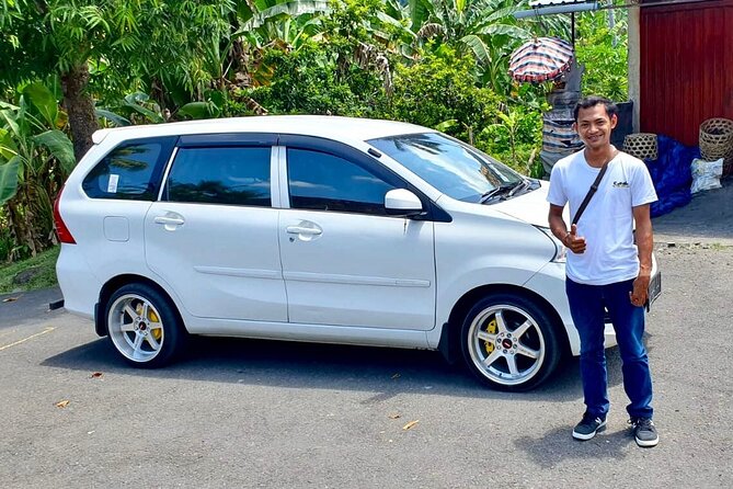 Individual Private Car Hire with English Speaking Chauffeur - Stop-by-stop: what the day feels like at each Bali highlight