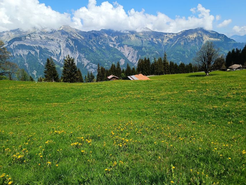 Interlaken: Highlights Tour with a Local by Private Car - Why a private car day works so well in the Bernese Oberland