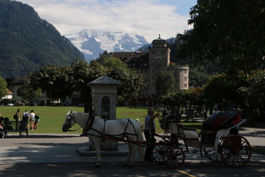 Interlaken: Highlights Tour with a Local by Private Car - Water, gorge, and glacier-style scenery: Gelmersee, Trift, and Aare time