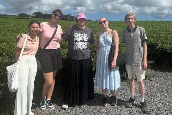 Jeju Customized Private Car Tour - Why a customized private car tour makes sense in Jeju