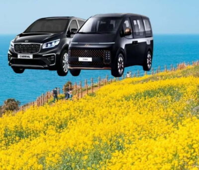 Jeju Island: Private Car Charter Tour - The Real Value of $276 for Up to 6 People