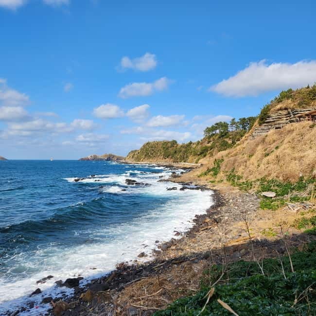 Jeju: Popular Sightseeing Private Car Charter Tour - Why a private charter car feels different on Jeju
