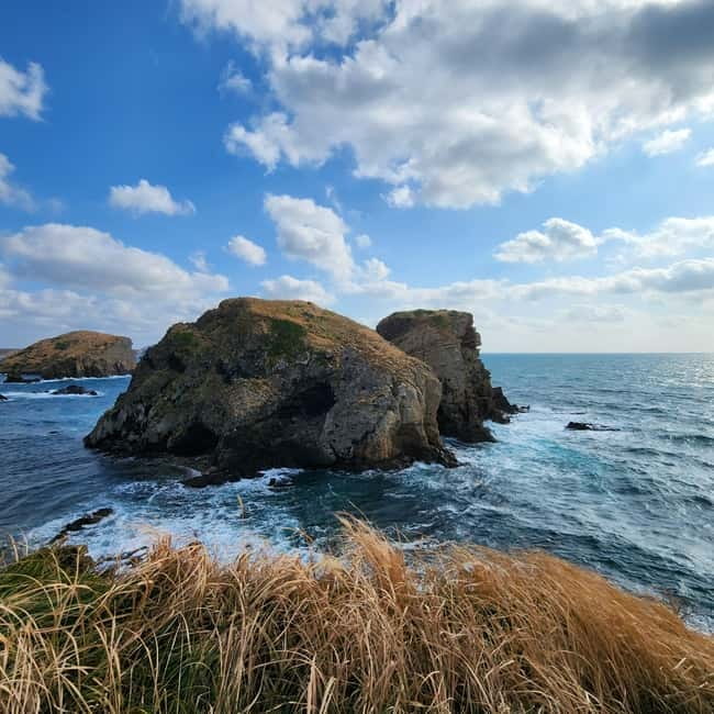 Jeju: Popular Sightseeing Private Car Charter Tour - East course: Seongsan Ilchulbong, Seopjikoji, and cave time