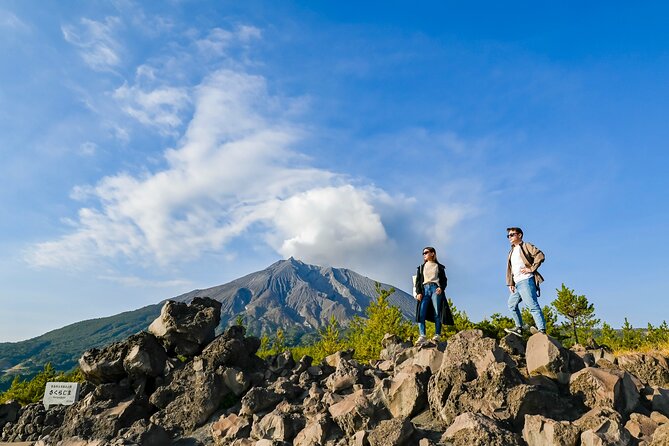 Kagoshima Private & Custom Tour with Licensed Guide and Vehicle - Shiroyama observatory and the restored castle gate: city views with a time-lapse feel