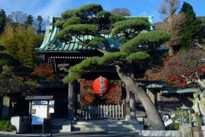 Kamakura and Yokohama Private Tour with Bilingual Chauffeur - The Kamakura route: Great Buddha to bamboo calm