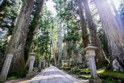 Koyasan Day Trip by Private Car from Osaka - Osaka Pickup, Private Car Comfort, and a 10-Hour Rhythm