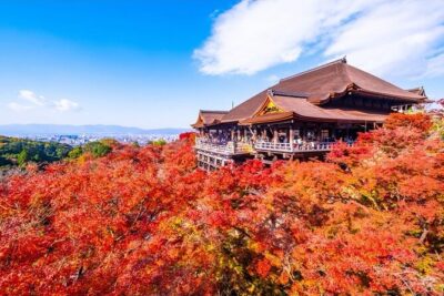 Kyoto and Nara Private Car Tour with a Local English Guide Driver - Kyoto hits first: Fushimi Inari to Arashiyama bamboo and Tenryu-ji