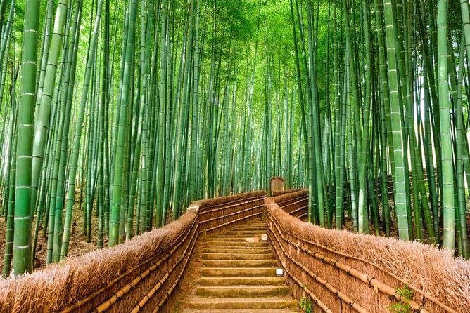 Kyoto Customized Private Car Tour - Key things to know before you go