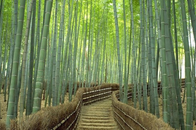 Kyoto Day Trip using Private Car with English Driver (up to 5) - Stop 1: Arashiyama bamboo forest and souvenir streets