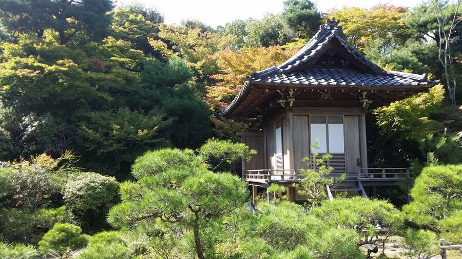 Kyoto: Immersive Arashiyama & Fushimi Inari by Private Car - Key reasons this private Kyoto tour feels worth it