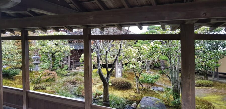 Kyoto: Immersive Arashiyama & Fushimi Inari by Private Car - Price and value: is $236 per person fair?