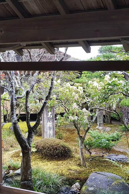 Kyoto: Immersive Arashiyama & Fushimi Inari by Private Car - Arashiyama bamboo grove: classic photos, best with a guide timing the walk