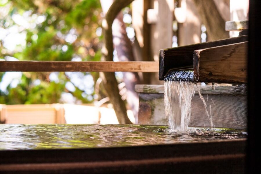 Kyoto: Immersive Arashiyama & Fushimi Inari by Private Car - Ryoan-ji and the Arashiyama river vibe
