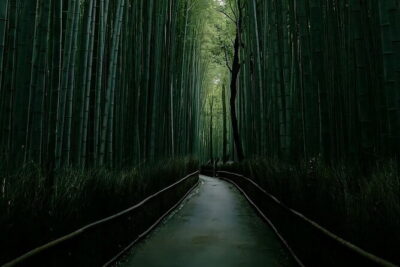 Kyoto&Nara&Osaka: One day private Customized Car tour - The Core Kyoto Route: Four Stops That Define the Day