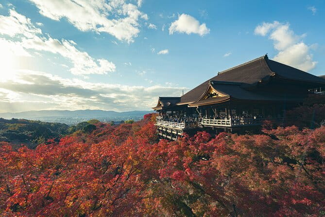 Kyoto&Nara&Osaka: One day private Customized Car tour - What’s Included (and What You’ll Pay Separately)
