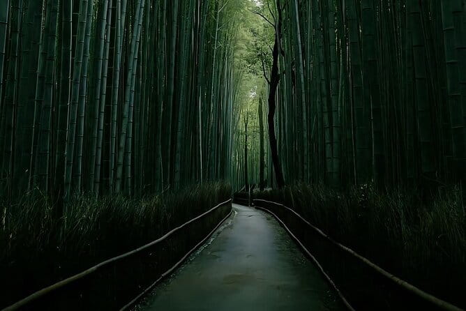 Kyoto&Nara&Osaka: One day private Customized Car tour - The Core Kyoto Route: Four Stops That Define the Day