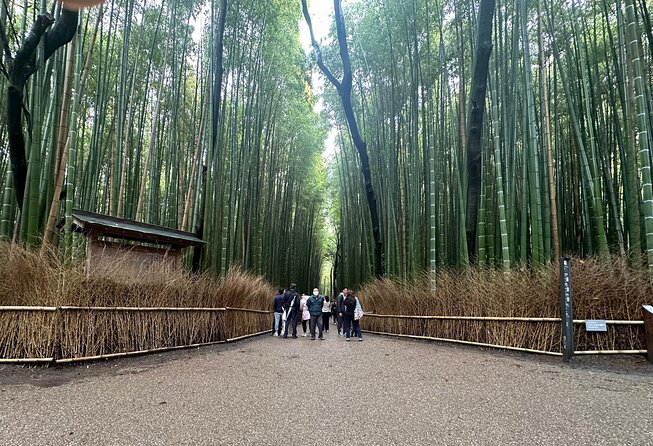 Kyoto Private Customizable Day Trip With English chauffeur - Key things that make this Kyoto private day trip click