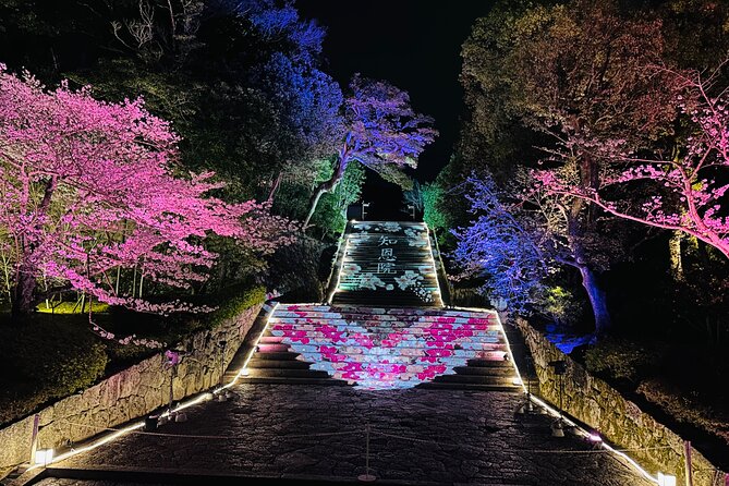 Kyoto Private Customizable Day Trip With English chauffeur - Why a private car day beats Kyoto trains and buses