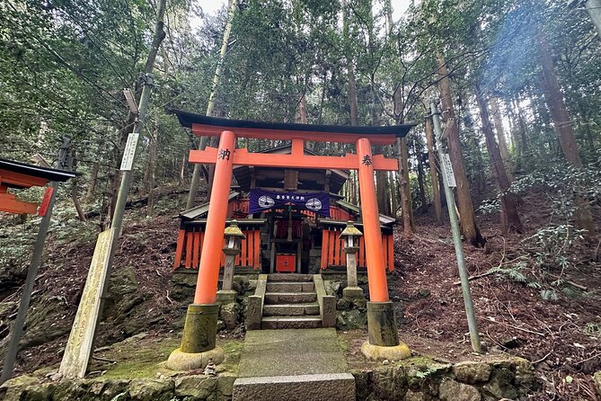 Kyoto Private Customizable Day Trip With English chauffeur - Arashiyama: Bamboo Grove time with room to breathe
