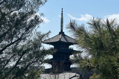 Kyoto Private Customizable Day Trip With English chauffeur - Hotel pickup at 8:00 am: a calm start you’ll feel all day