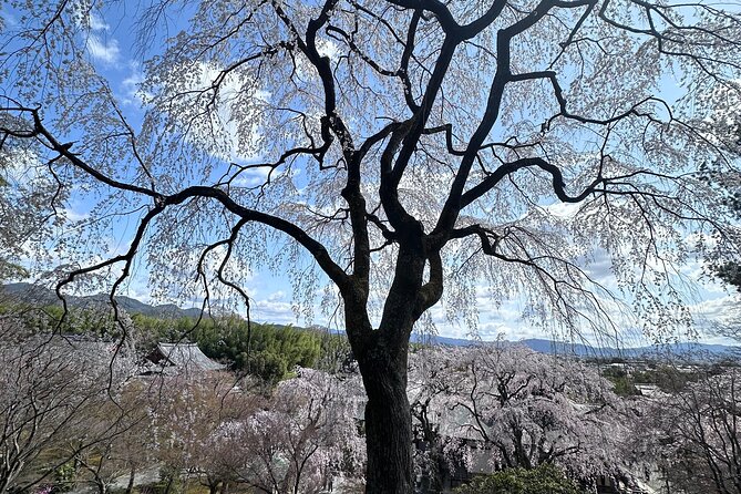 Kyoto Private Customizable Day Trip With English chauffeur - Kinkaku-ji (Golden Pavilion): the iconic Zen stop is short but unforgettable