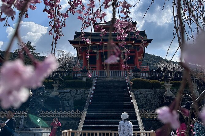 Kyoto Private Customizable Day Trip With English chauffeur - Sanjūsangen-dō: 1,001 statues worth the stop