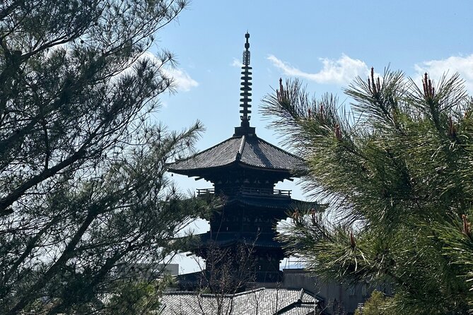 Kyoto Private Customizable Day Trip With English chauffeur - Hotel pickup at 8:00 am: a calm start you’ll feel all day