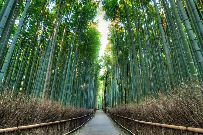 Kyoto tour with English Speaking Chauffeur - Kinkakuji Golden Pavilion: planning for the ¥500 ticket