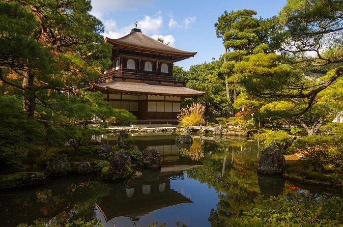 Kyoto tour with English Speaking Chauffeur - Fushimi Inari-taisha: torii gates and how to enjoy the climb