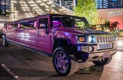 Las Vegas Limo Tour with Champagne and Nightclub Entry - Pickup at the Strip: Easy Starts from Major Hotels