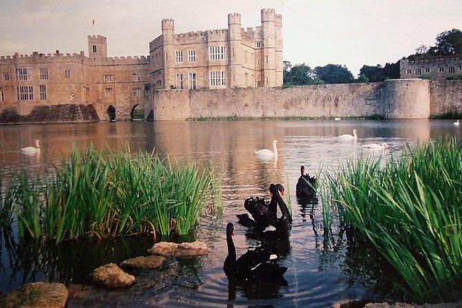 Leeds Castle, Canterbury and White Cliffs of Dover - Driver Guide - Should you book this Leeds Castle–Canterbury–Dover day trip?