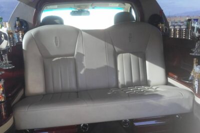 Los Angeles 6-Hour Custom Private Tour in a Dual Bar Limo - Hollywood Walk of Fame and Grumman’s Chinese Theater: the easy way to do it