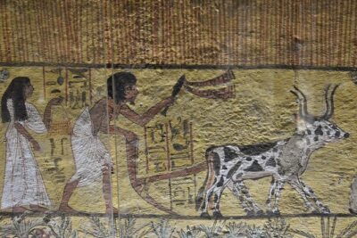 Luxor Dendera tour with a felucca from Hurghada by a private car - Hurghada to Luxor: why the early start matters