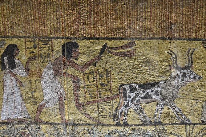 Luxor Dendera tour with a felucca from Hurghada by a private car - Hurghada to Luxor: why the early start matters