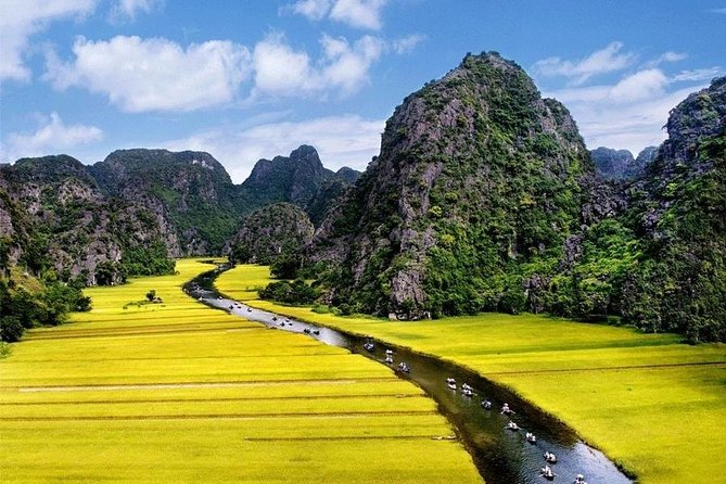 Luxury Hoa Lu - Tam Coc 1 Day Tour From Hanoi - By Limousine & Small Group - Lunch at Ninh Bình: Buffet Choices That Keep You Moving