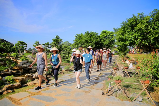 Luxury Hoa Lu Tam Coc Mua Cave 1 Day With Limousine Bus And Lunch - Lunch, Water, and the Small Extras That Improve the Day