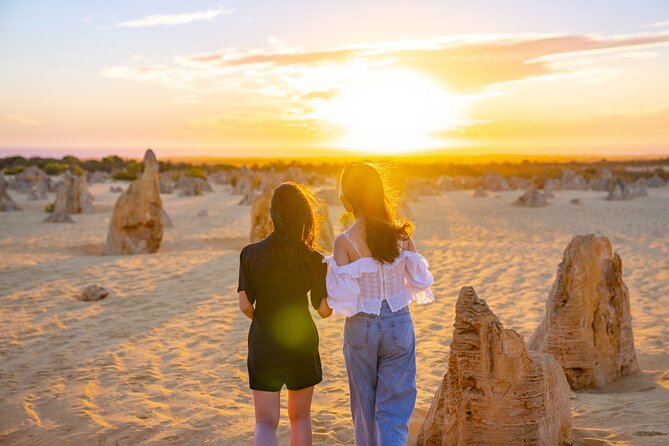 Luxury Pinnacles Tour- Private Chauffeur-Tailored Schedule - Stop 3: The Pinnacles—lookouts, turquoise-water beaches, and wildflower roadside stops